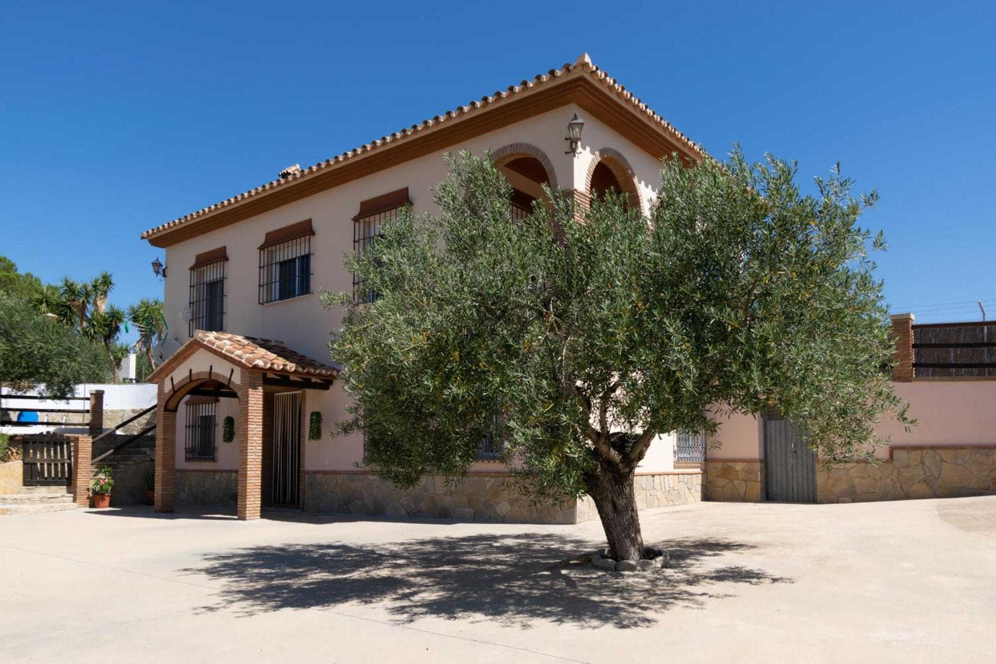 Casa Los Olivos Alora - Caminito Del Rey Eksteriør bilde