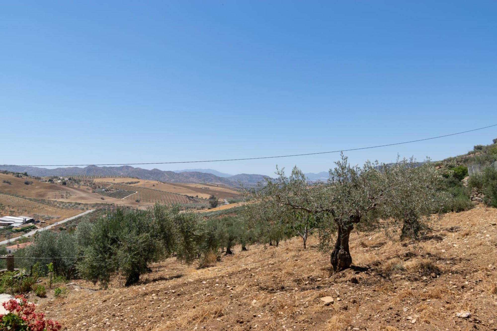 Casa Los Olivos Alora - Caminito Del Rey Eksteriør bilde